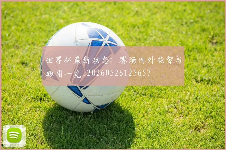 世界杯最新动态:赛场内外花絮与趣闻一览_20260526125657