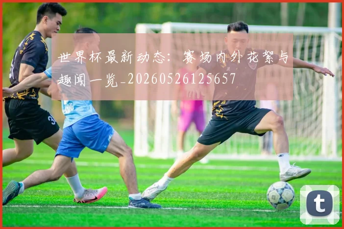 世界杯最新动态:赛场内外花絮与趣闻一览_20260526125657