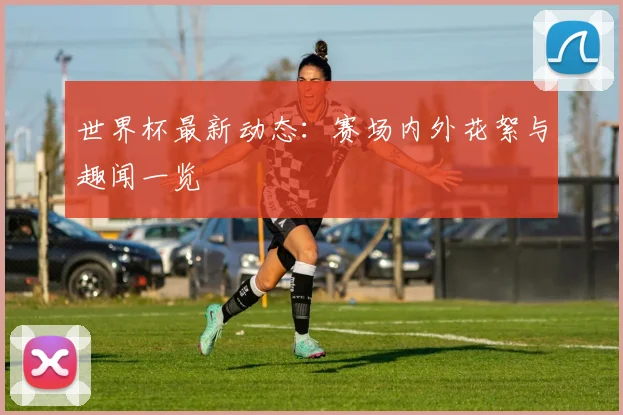 世界杯最新动态:赛场内外花絮与趣闻一览
