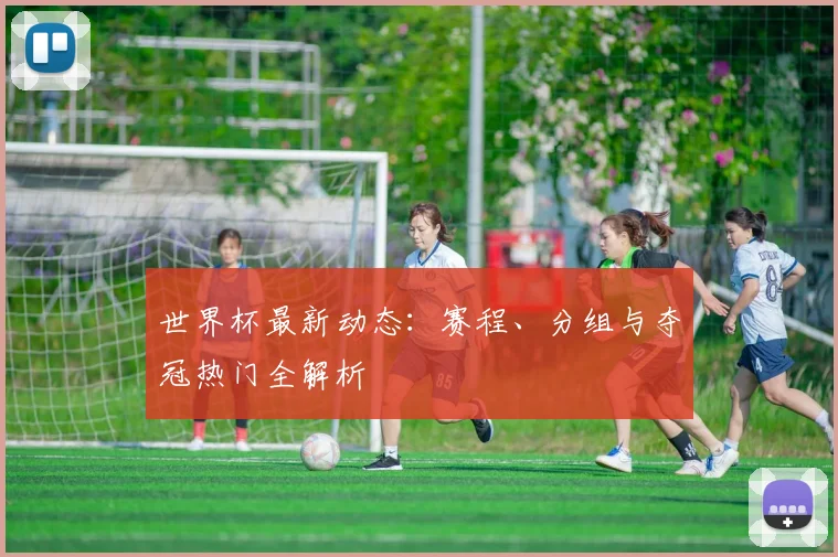 世界杯最新动态：赛程、分组与夺冠热门全解析