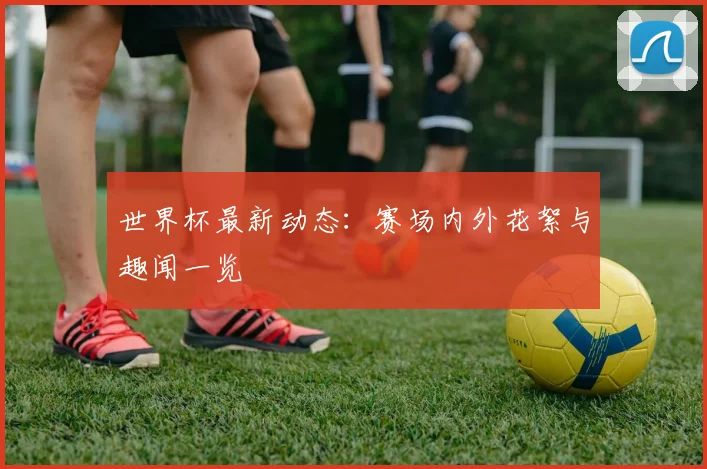 世界杯最新动态:赛场内外花絮与趣闻一览